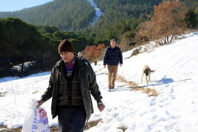 Ganos Dağı ndaki Yaban Hayvanlarına Yiyecek Bırakıldı 1