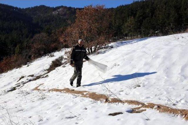 Ganos Dağı ndaki Yaban Hayvanlarına Yiyecek Bırakıldı 2