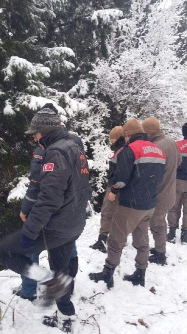 Artvin’De Alzheimer Hastası Kadın Kayboldu