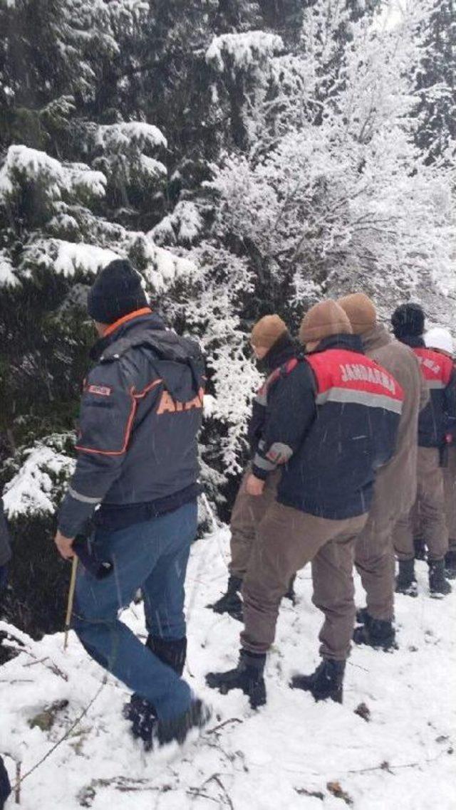 Artvin’De Alzheimer Hastası Kadın Kayboldu