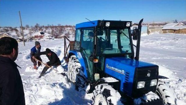 Yaylada Çobanlar 400 Koyun Ve 9 Köpekle Karda Mahsur Kaldı