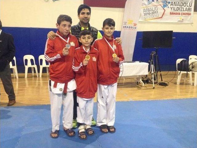 Yıldızlar Anadolu Ligine Dodurgalı Taekwondocular Damga Vurdu