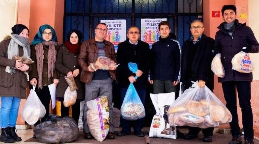 &Ouml;ğrenciler Sokak Hayvanlarına Duyarsız Kalmadı