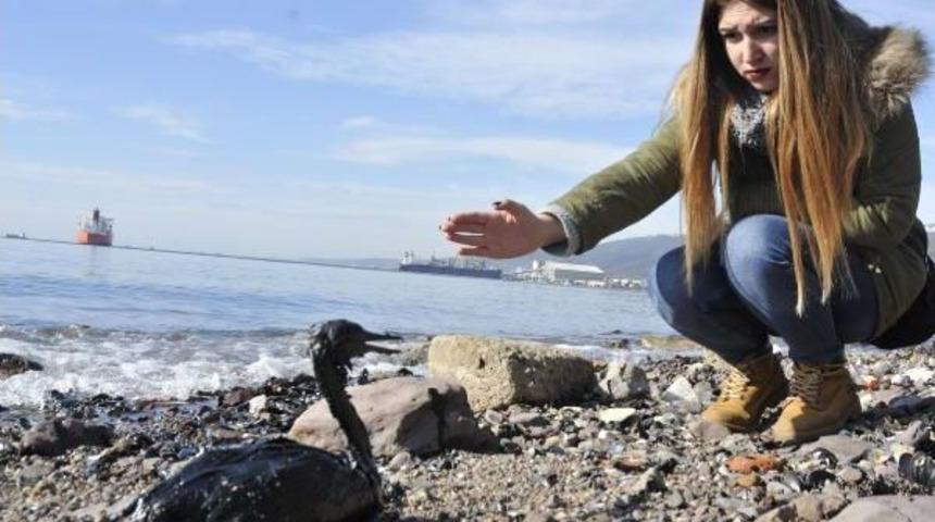 İzmit K&ouml;rfezi'nde Limandan Sızan Yakıt Kirliliğe Yol A&ccedil;tı