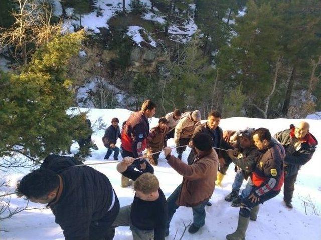 Yuvarlandığı Uçurumda Mahsur Kalan Yaşlı Adamı İtfaiye Kurtardı