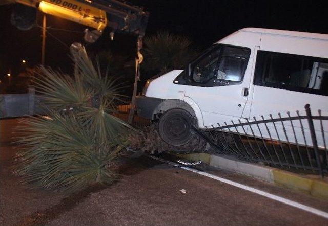 (&ouml;zel Haber) Alkoll&uuml; S&uuml;r&uuml;c&uuml; Aracıyla Birlikte Ağaca &Ccedil;ıktı: 1 Yaralı 1