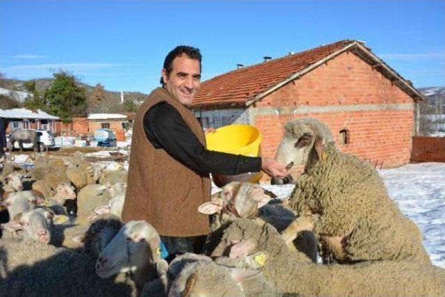 Parti Binasını Ahırın Yanına Kuran &Ccedil;oban Genel Başkan 2