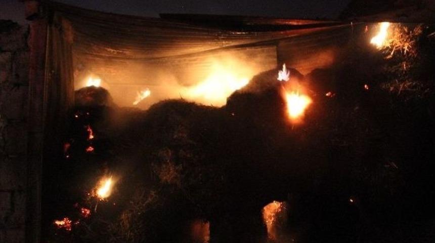 Kocaeli’de 500 Balya Samanlık Alev Alev Yandı