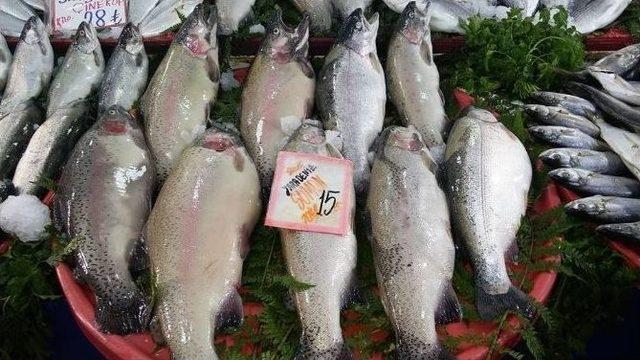 Kar Ve Soğuk Hava Balık Fiyatlarını Arttırdı 2