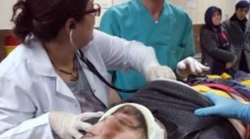 Ağa&ccedil; Budarken D&uuml;şen Gen&ccedil; Hastanelik Oldu