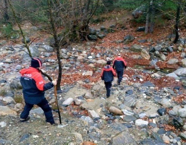 Ormanlık Alanda Erkek Cesedi Bulundu