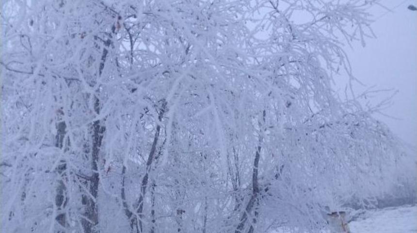 Iğdır-erzurum Karayolunda Yoğun Sis
