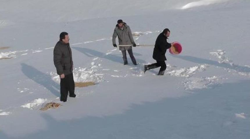 İmamın &Ccedil;ağrısıyla Yaban Hayvanlarına Yem Bıraktılar
