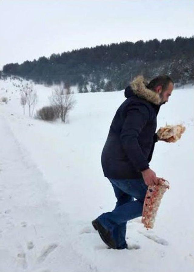 &Uuml;lk&uuml;c&uuml;ler, A&ccedil; Kalan Yaban Hayvanları İ&ccedil;in Doğaya Yem Bıraktı 2