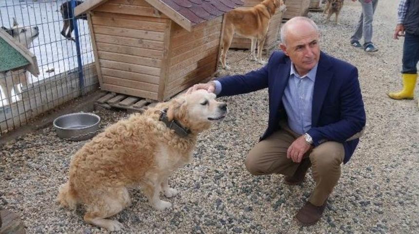 B&uuml;y&uuml;k&ccedil;ekmece Esnafına &rsquo;hayvan Dostu&rsquo; Stickeri