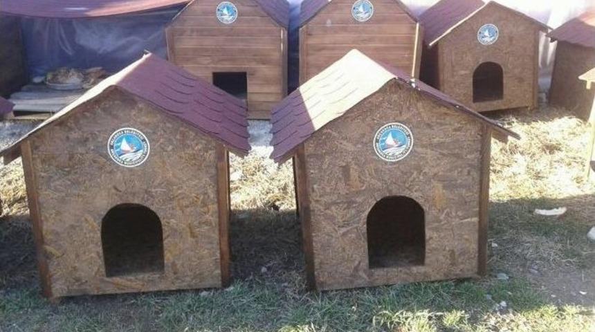 Sokak Hayvanlarına Belediye Desteği