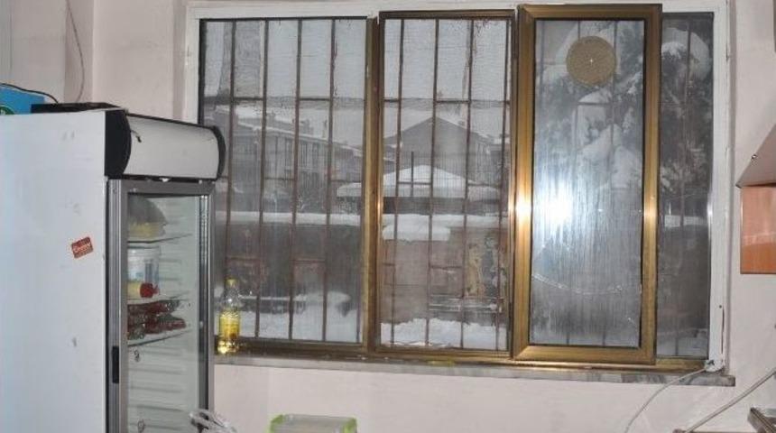 &Ouml;zel Ekiple Yakalanan Kantin Fareleri Serbest Bırakıldı