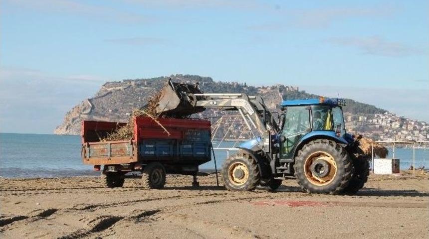 Altid Sahilleri Temizledi