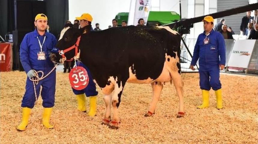 Agroexpo Ziyaret&ccedil;ilerine Dolu Bir Etkinlik Hazırlandı