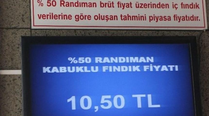 Fındık 1,5 Ay Sonra 25 Kuruş Arttı