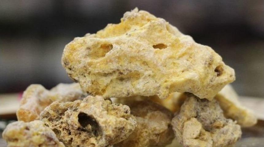 &Ccedil;am Sakızı, Sadece Deyimlerde Kullanılmıyor