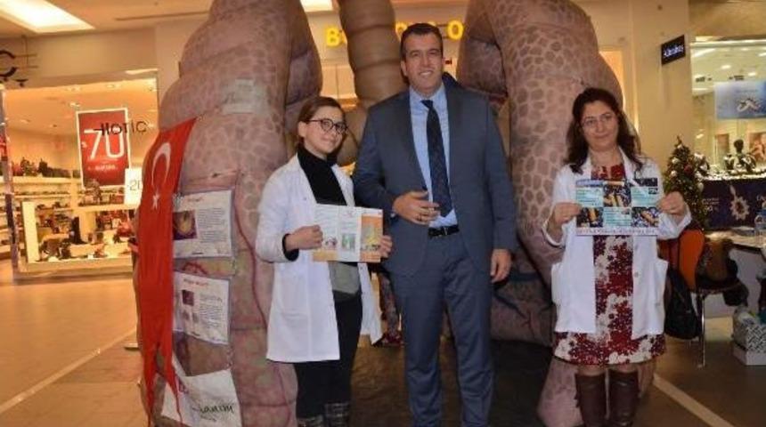 3 Metrelik Maket Akciğerle Sigaranın Zararlarına Dikkat &Ccedil;ektiler