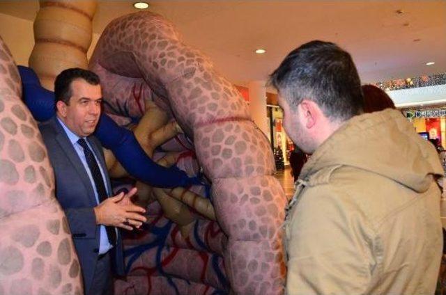 3 Metrelik Maket Akciğerle Sigaranın Zararlarına Dikkat &Ccedil;ektiler 2