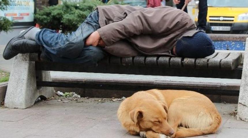 İki Kimsesiz Bir Arada