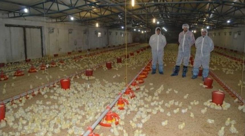 Kanatlı Sekt&ouml;r&uuml; Can &Ccedil;ekişiyor