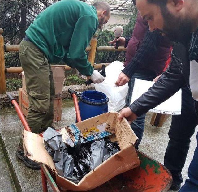 İzmit Körfezi'nde Yakıta Bulunan Karabataklar Tedaviye Alındı