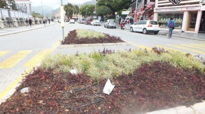 Marmaris'te H&uuml;k&uuml;meti Su&ccedil;layan Bildiriye G&ouml;zaltı