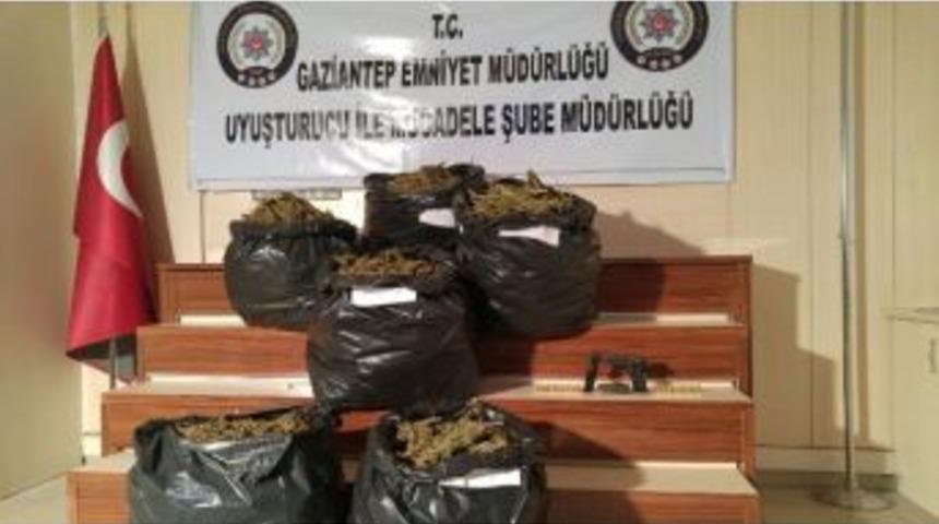 Bağ Evinde 60 Kilo Esrar Ele Ge&ccedil;irildi