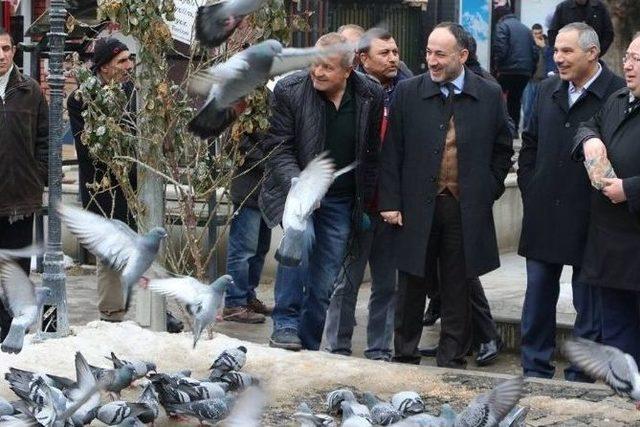 Kırıkkale Belediye Başkanı Saygılı Kuş Katliamının Takipcisiyiz 1