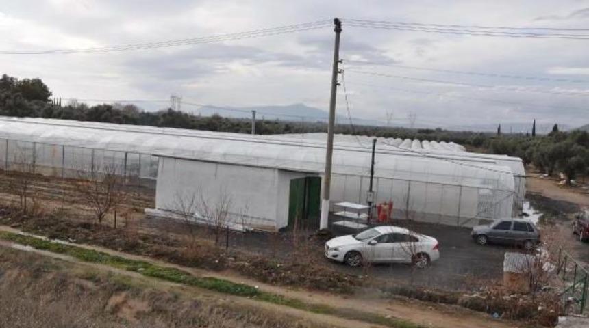 Emekli Profes&ouml;r &Ccedil;ilek &Uuml;reticisi Oldu