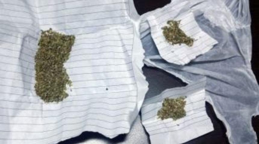 Otomobilin Far Kısmında Bonzai Yakalandı