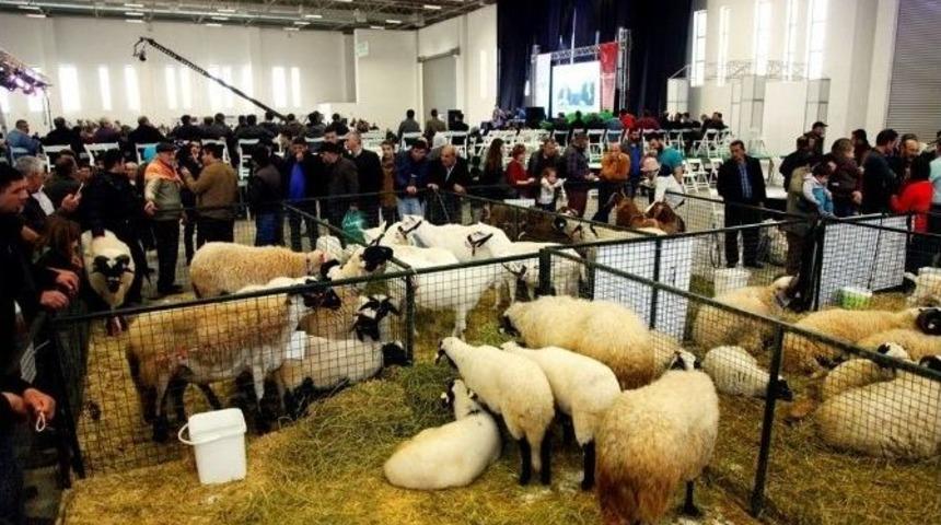 Tarım Ve Hayvancılık Sekt&ouml;r&uuml;n&uuml;n Temsilcileri İzmir&rsquo;de Buluşuyor