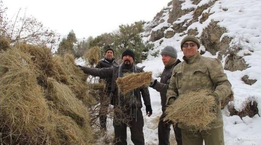 Yaban Ke&ccedil;iler İ&ccedil;in Dağlara Ot Bıraktılar