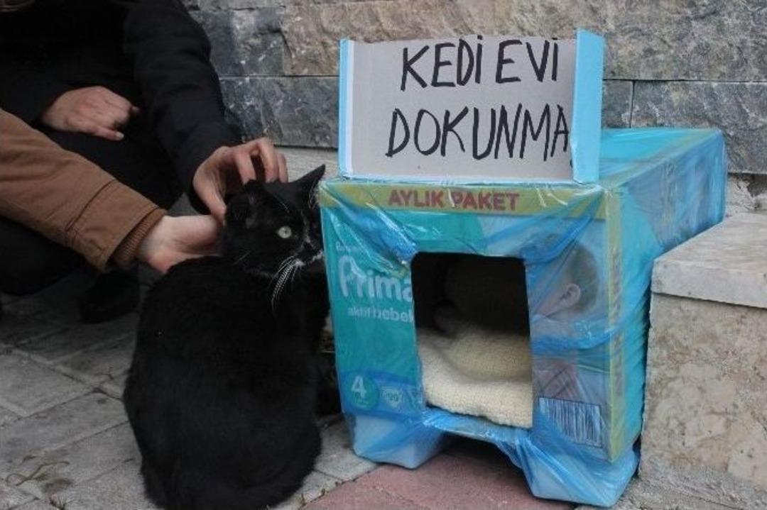 (&ouml;zel Haber) İki Esnafın Kedi Tartışması Bimer&rsquo;e Taşındı