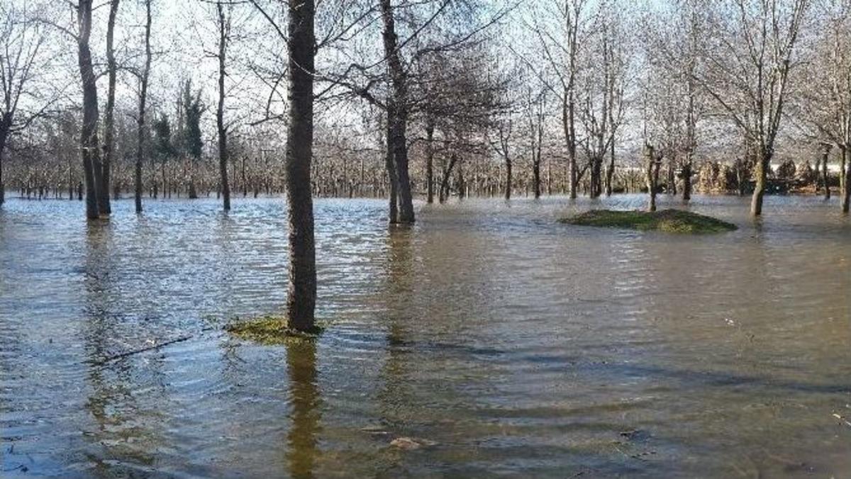 Bafra&rsquo;da Yer Altı Suları Bah&ccedil;e Ve Tarım Arazilerini G&ouml;le &Ccedil;evirdi