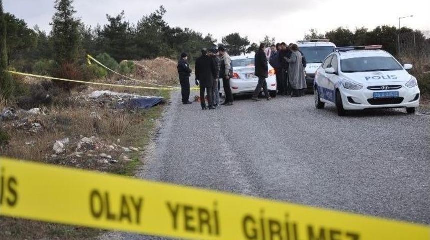 D&ouml;verek &Ouml;ld&uuml;r&uuml;p Ormanlık Alana Attılar