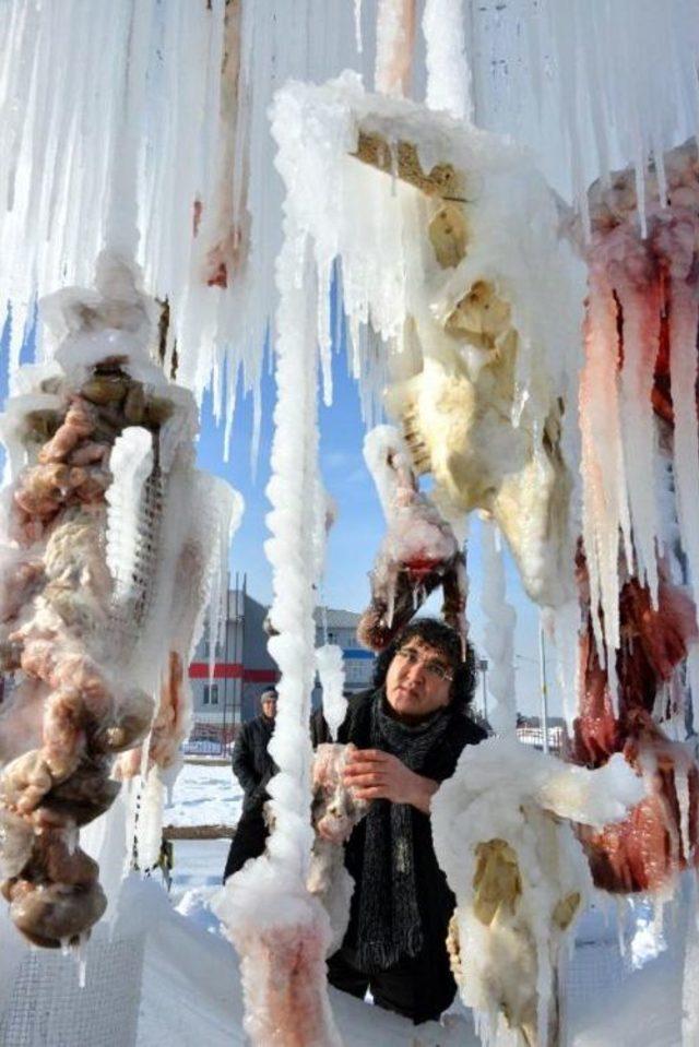 Prof.dr. Kavuk&ccedil;u, Ter&ouml;r Ile Şiddeti  dondurdu  2