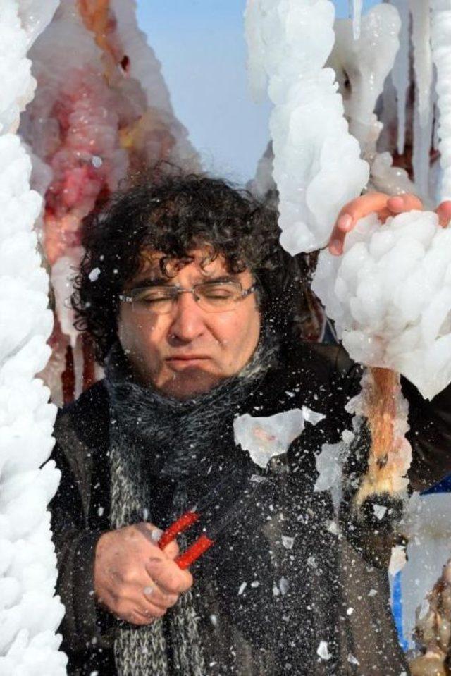 Prof.dr. Kavuk&ccedil;u, Ter&ouml;r Ile Şiddeti  dondurdu  3