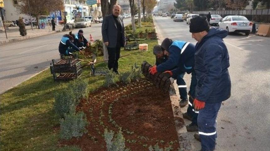 Kilis Belediyesi Tarafın 2017 Park Bah&ccedil;e Yılı İlan Edildi