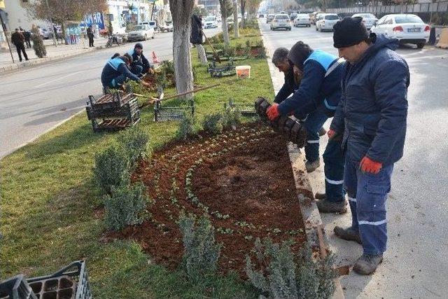 Kilis Belediyesi Tarafın 2017 Park Bahçe Yılı İlan Edildi