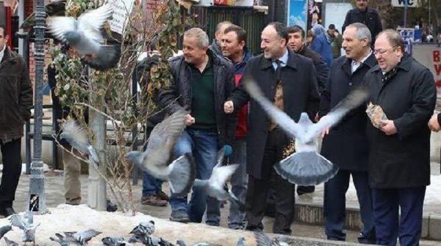 Kırıkkale'de Zehirlenen G&uuml;vercinler I&ccedil;in Inceleme