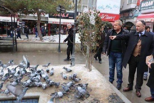 Kırıkkale'de Zehirlenen Güvercinler Için Inceleme