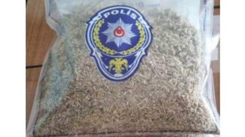 Meyve Suyu Kutusundan Bonzai &Ccedil;ıktı