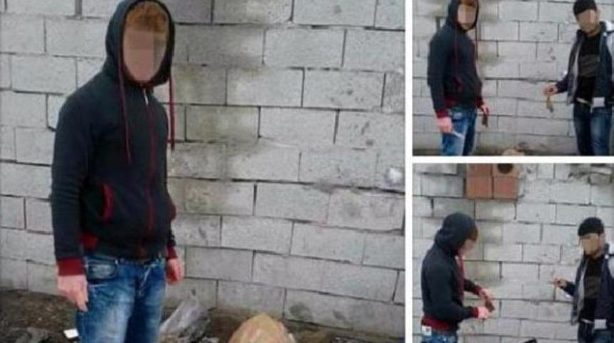 Kulakları Kesilmiş K&ouml;pek Fotoğrafları Isyan Ettirdi