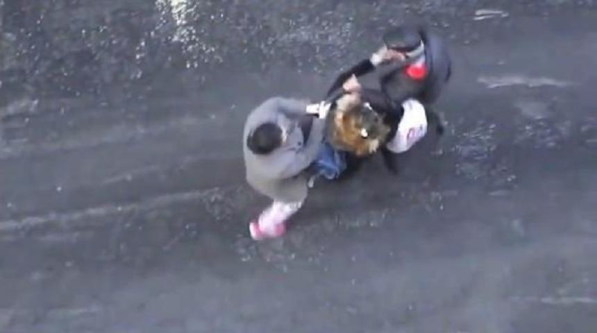 Sokakta Kedi Besleme Kavgası