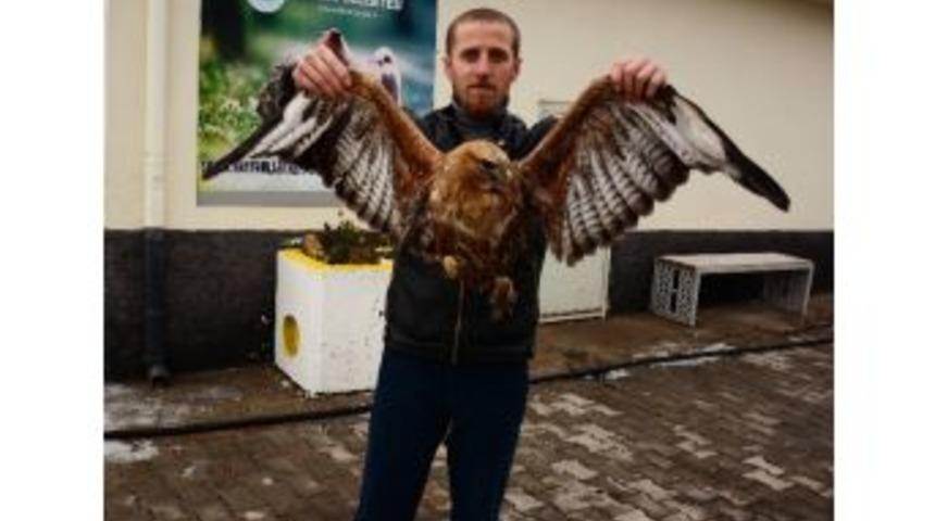 Yaralı Şahine Aksaray Belediyesi Sahip &Ccedil;ıktı